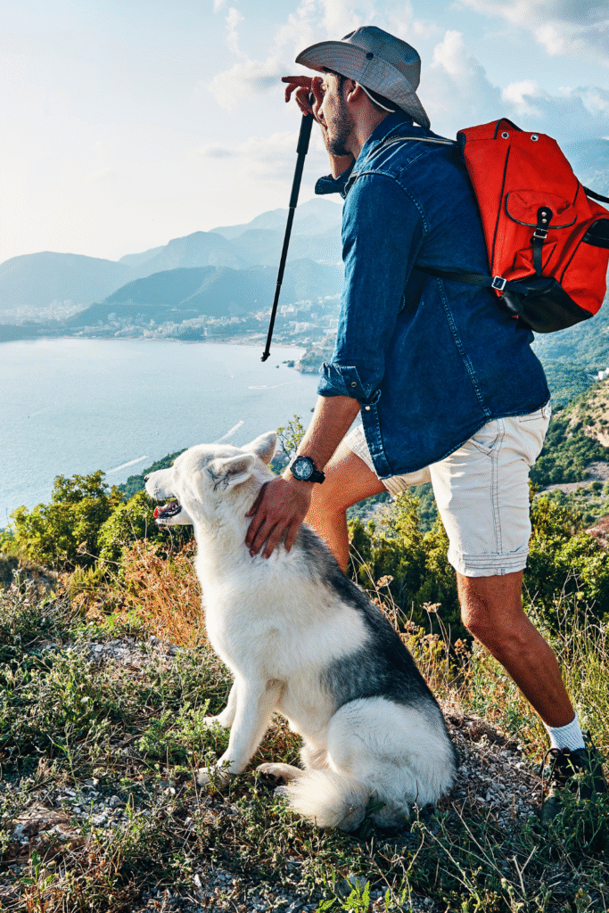 Dog-Centric Vacation Activities