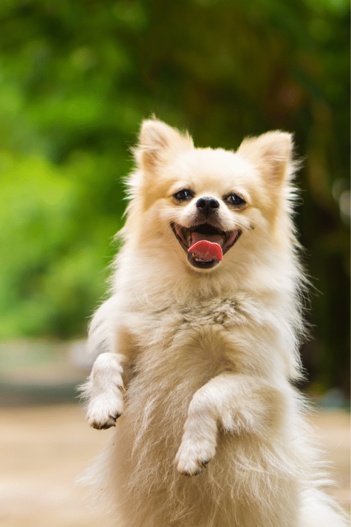 Behavioral Signs of Health and Happiness