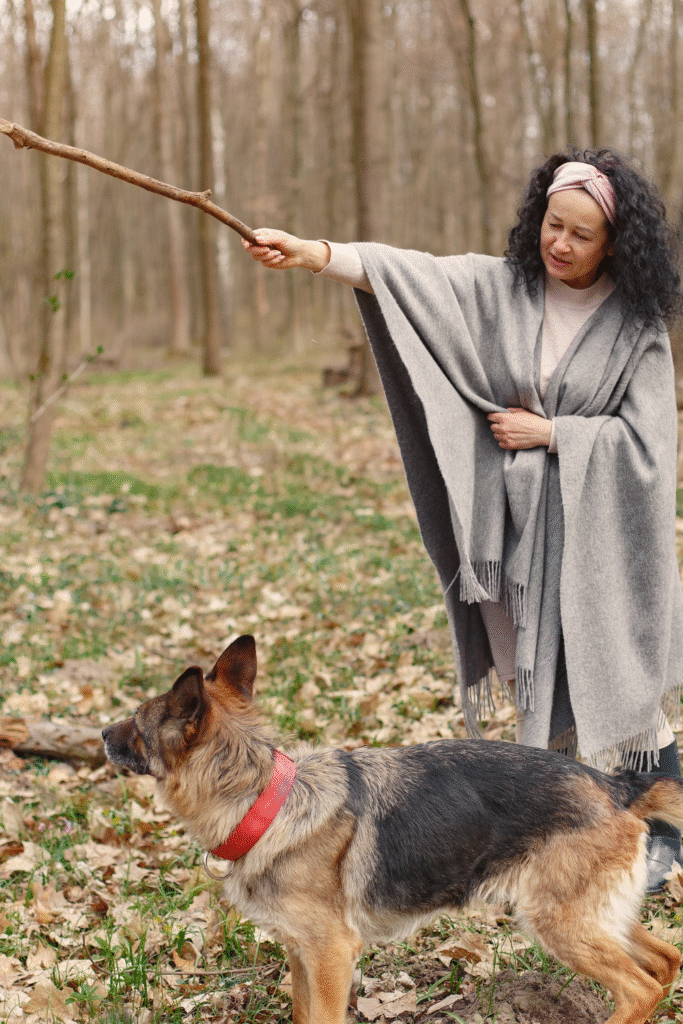 Basic Obedience Training for Dogs