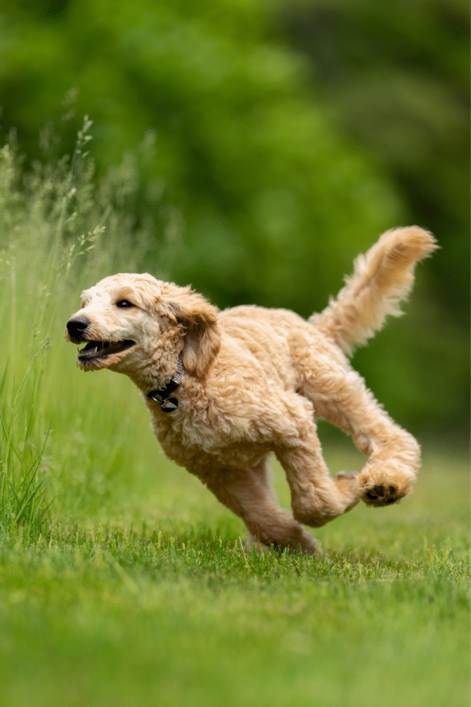 Exercise and Activity Levels