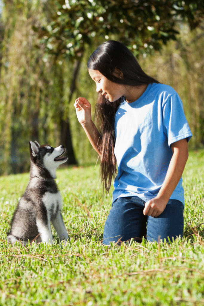 Puppy Training Tips