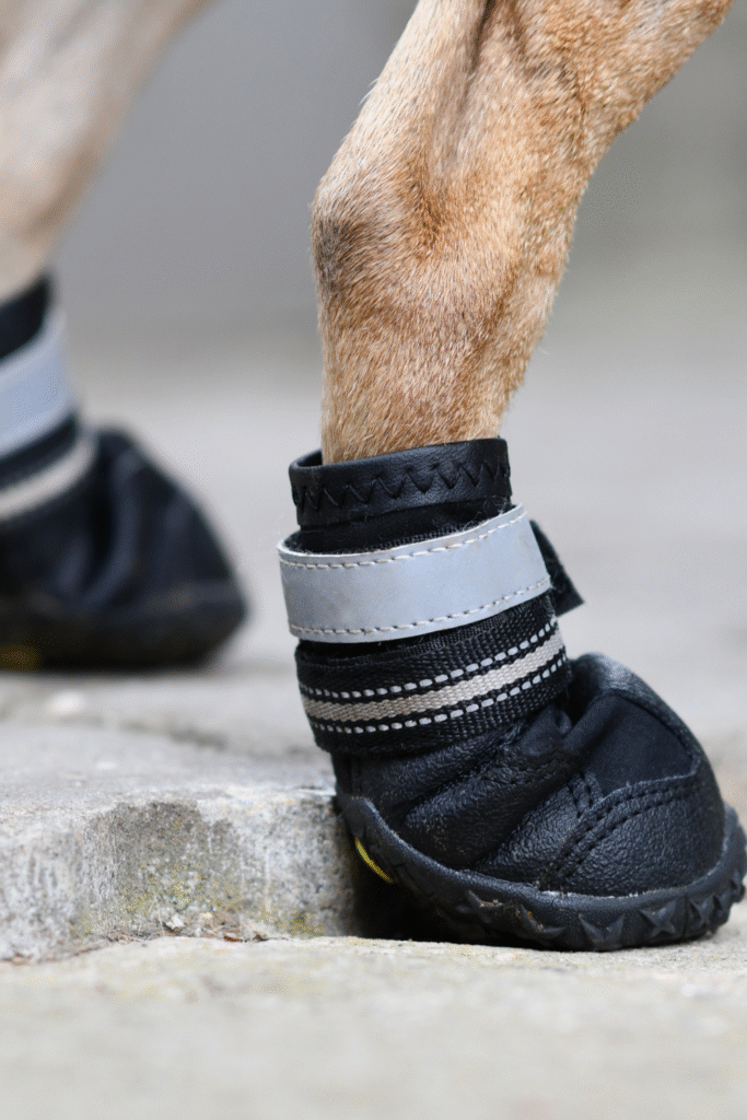 Paw Protection