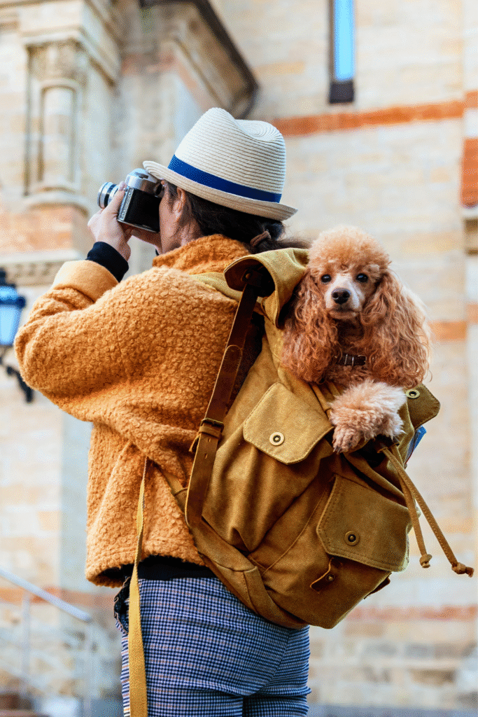 Vacation with Puppy: Special Considerations