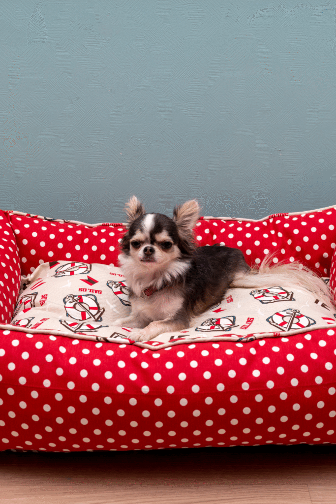 Dog Bed