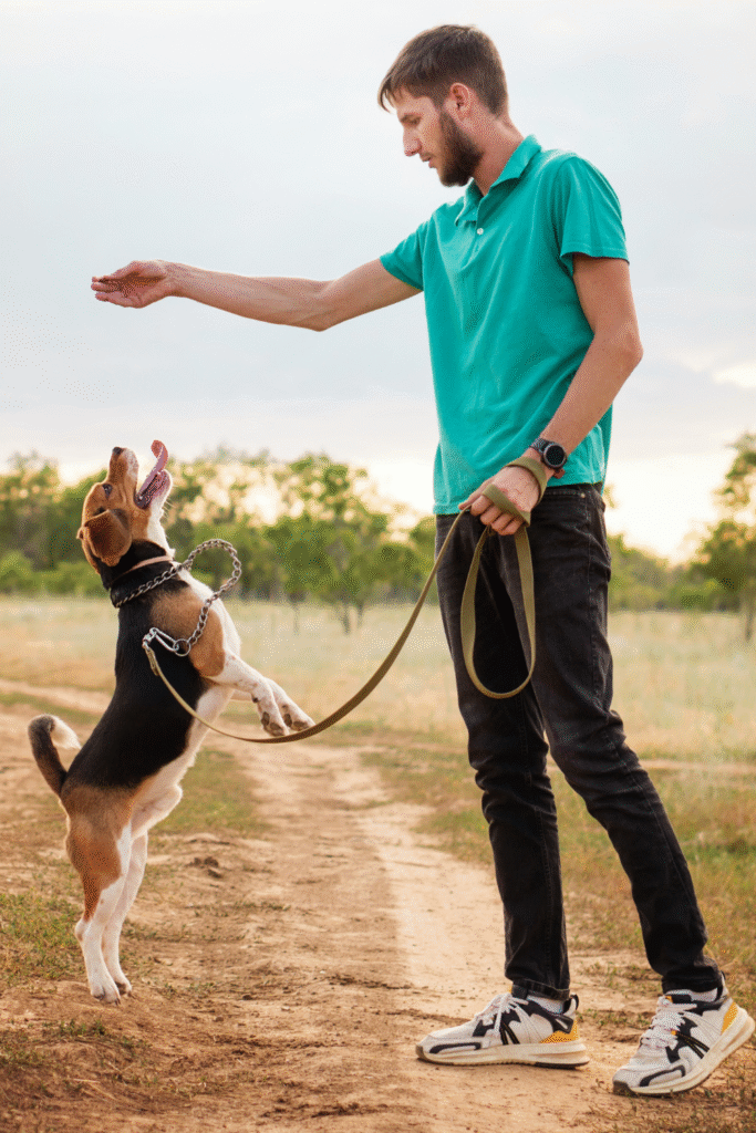 Basic Obedience Training for Dogs