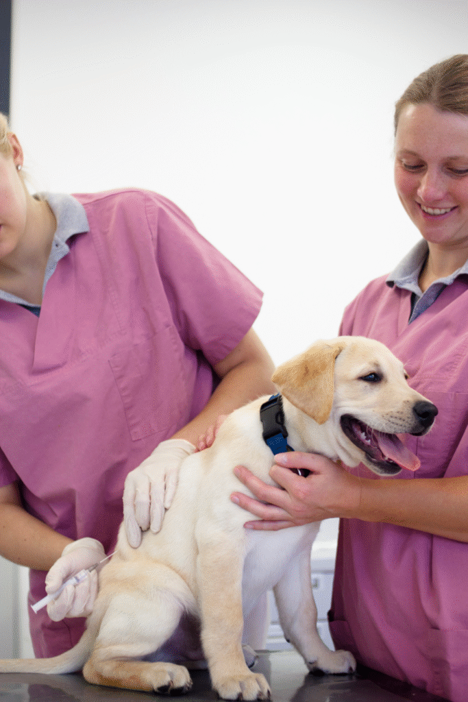 Dog Vaccination Schedule