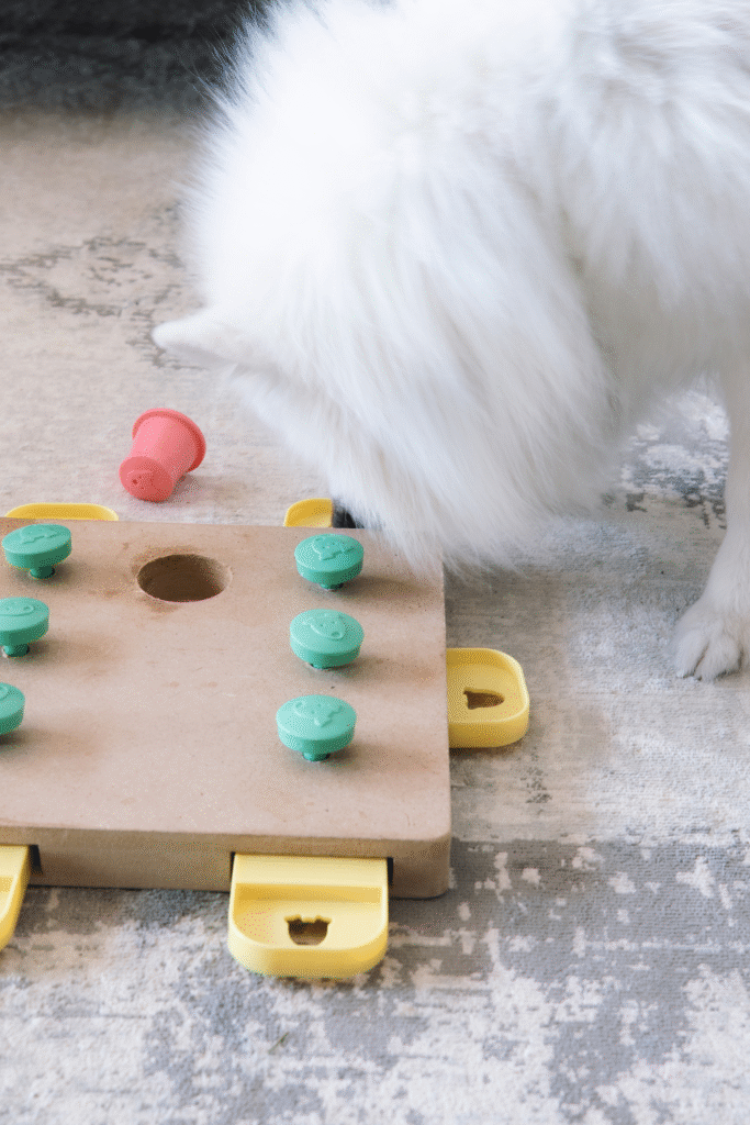 DIY Dog Training Tools