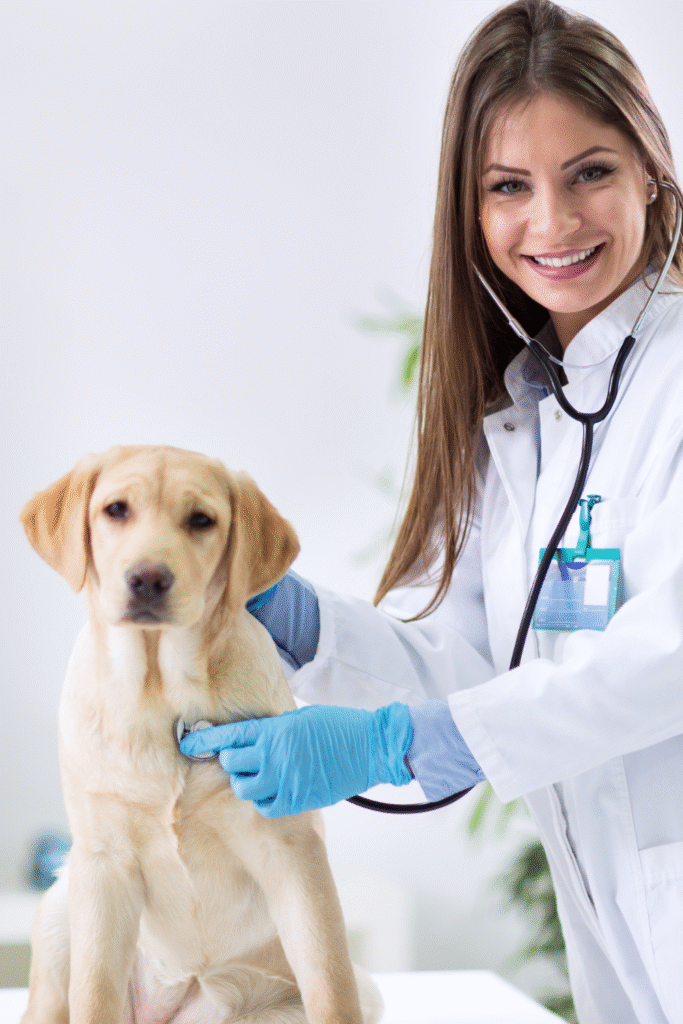 Routine Veterinary Care