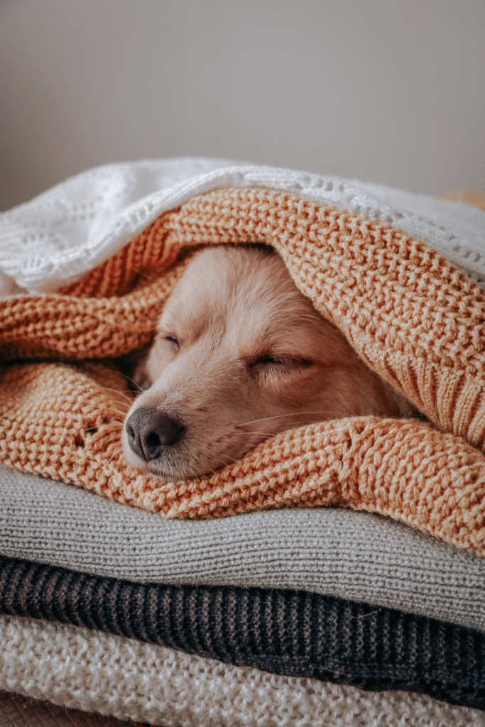 Nighttime Warmth
