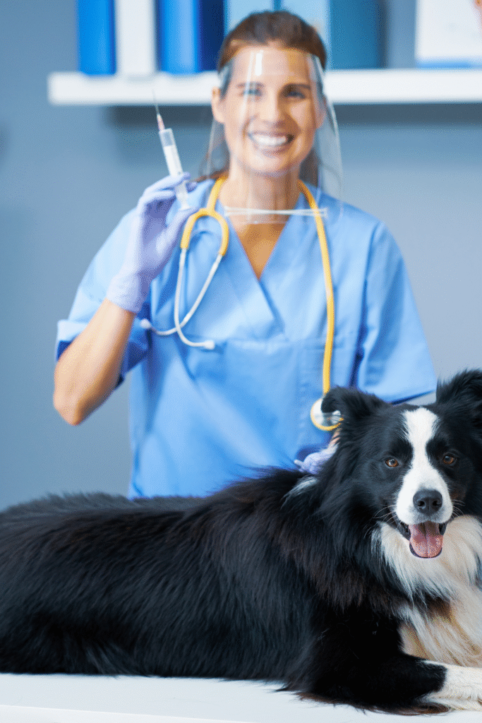 Dog Vaccinations Schedule