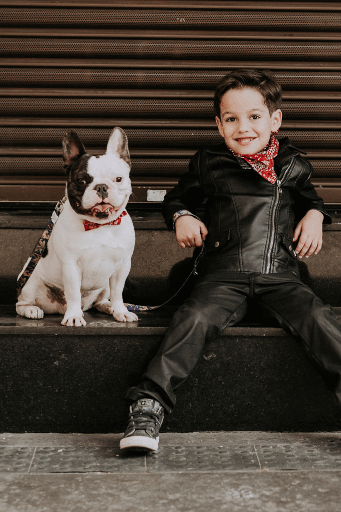 French Bulldogs