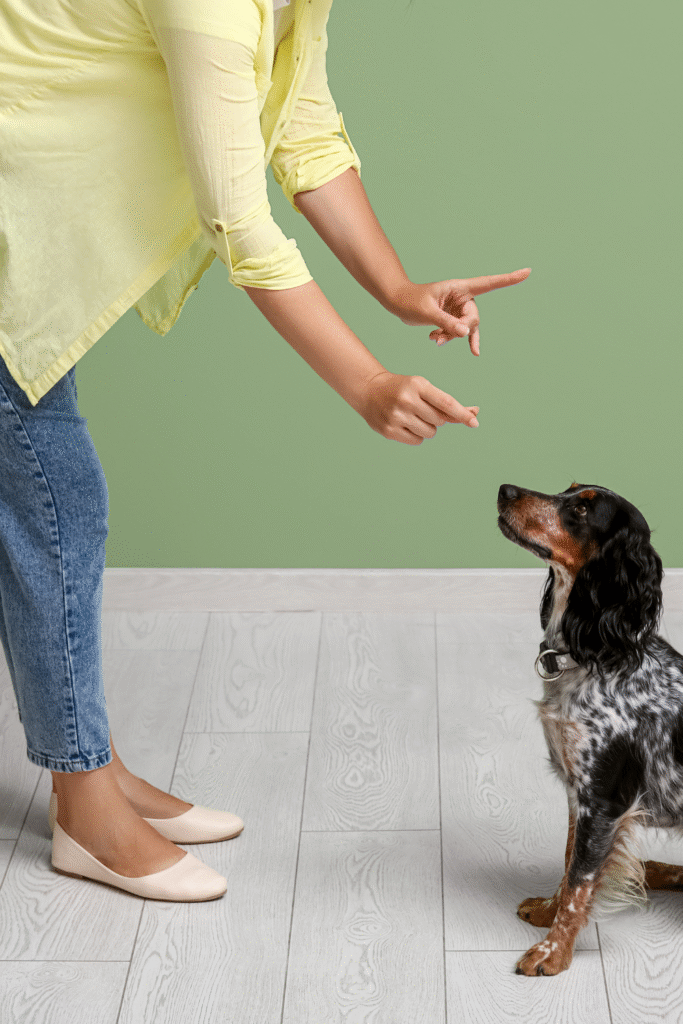 DIY Dog Training Tools
