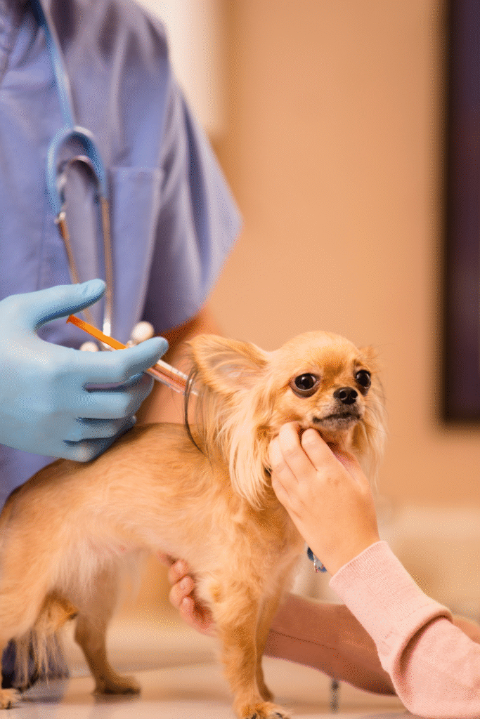 Dog Vaccination Schedule