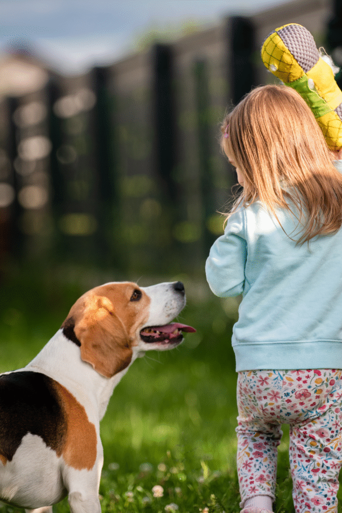 Training Your Family Guard Dog