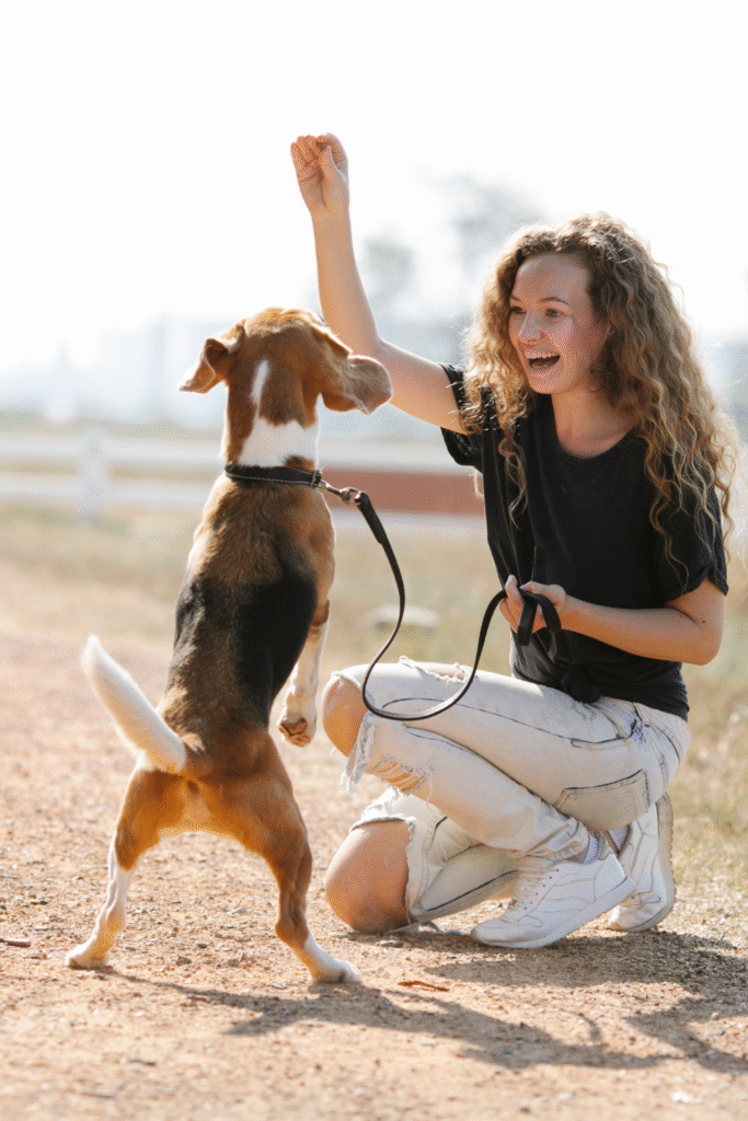 Basic Obedience Training for Dogs