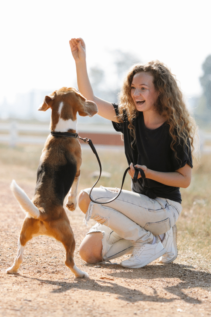 Basic Obedience of Dogs