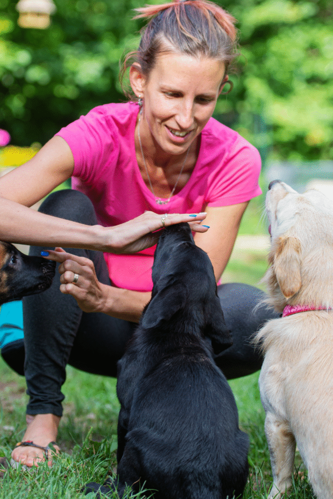 Puppy Training Tips