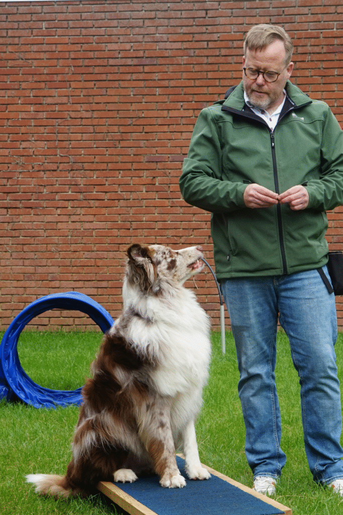 DIY Dog Training Tools