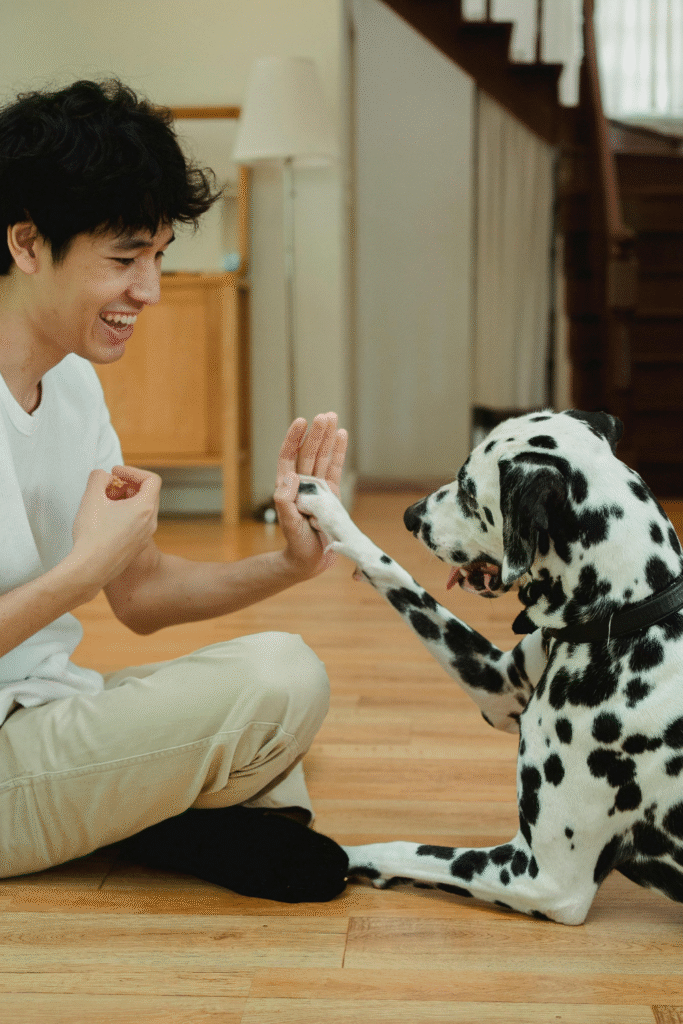 Basic Obedience of Dogs