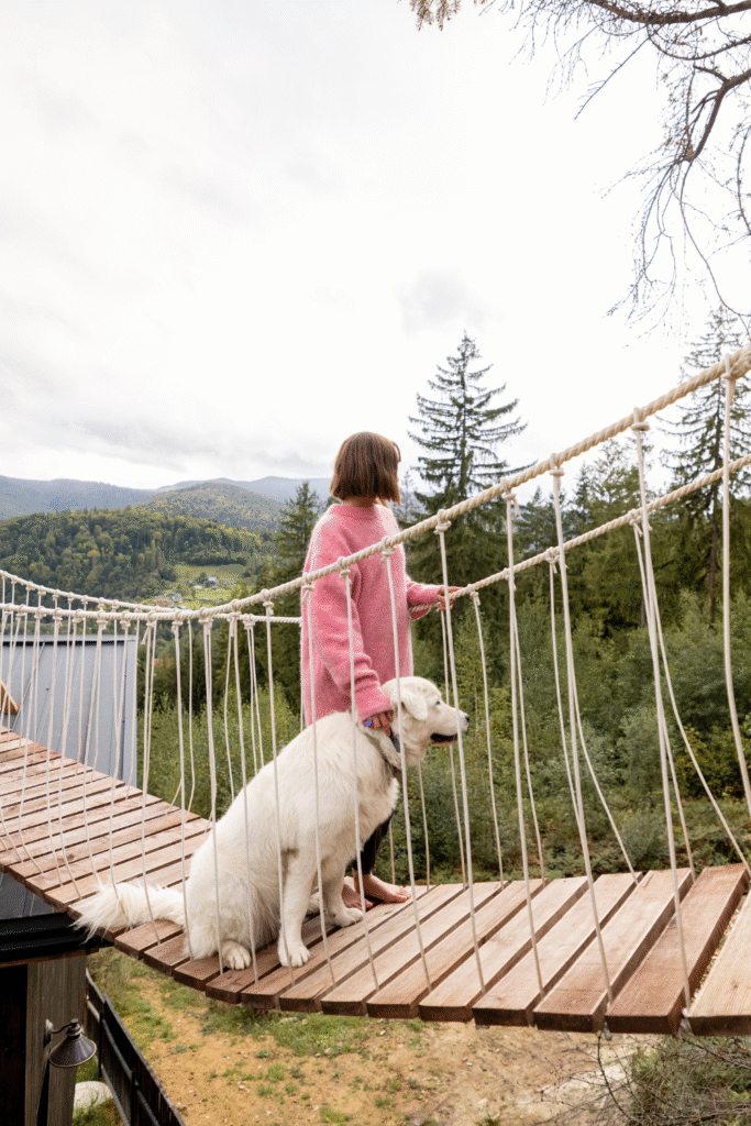 Choosing Dog-Friendly Vacation Resorts
