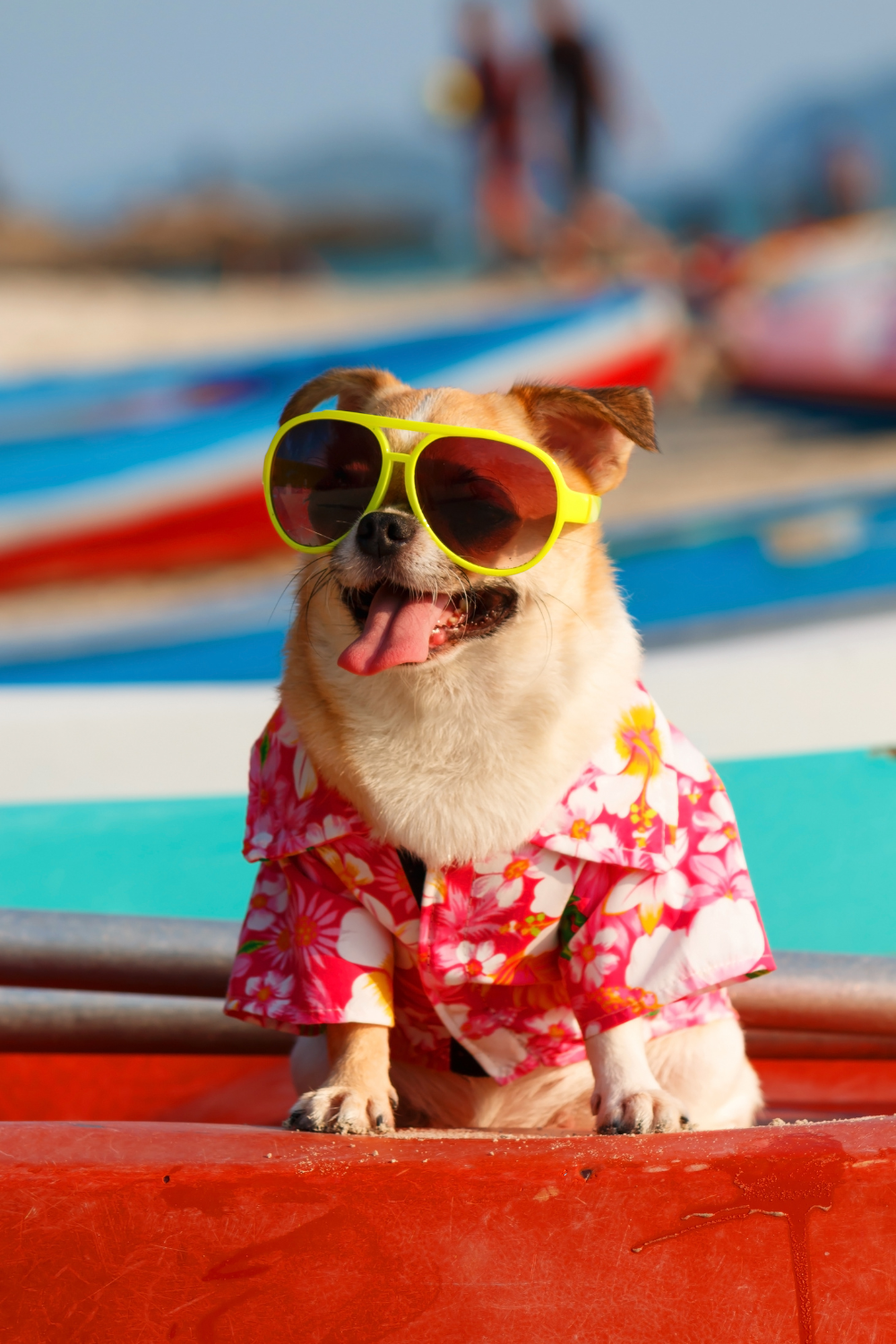 A happy dog sitting beach side with a travel bag and blanket, ready for a vacation road trip with its family.