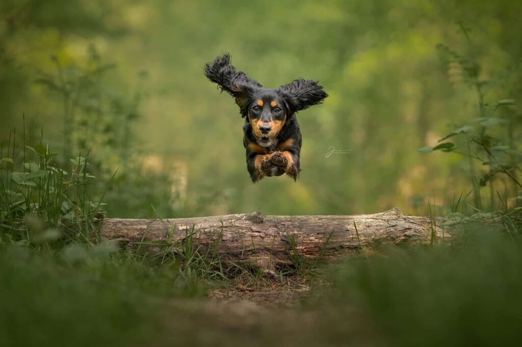 Action and Movement Photography {#action-shots}
