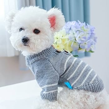 📸 Best Dog Photography Ideas for Stunning Shots at Home & Outdoors