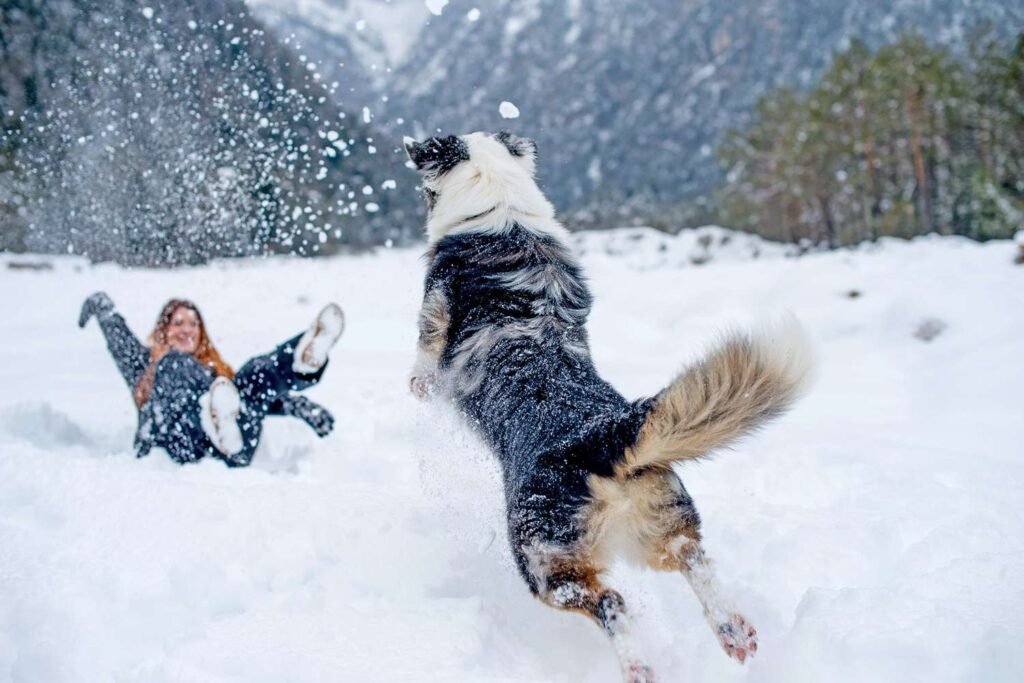 Winter Wonders: Cold Weather Activities